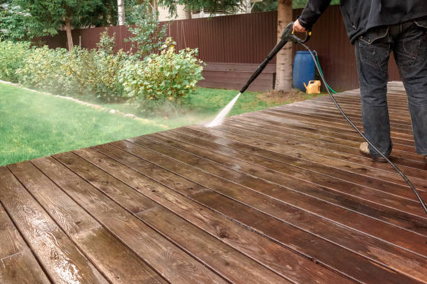 Best House Exterior Washing  in Marlette, MI