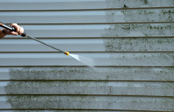 Professional  Pressure Washing Services in Marlette, MI