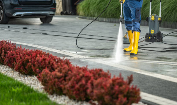 Best Graffiti Removal  in Marlette, MI